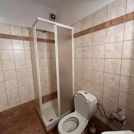 Pinelopi Apartments Arachova Extérieur photo