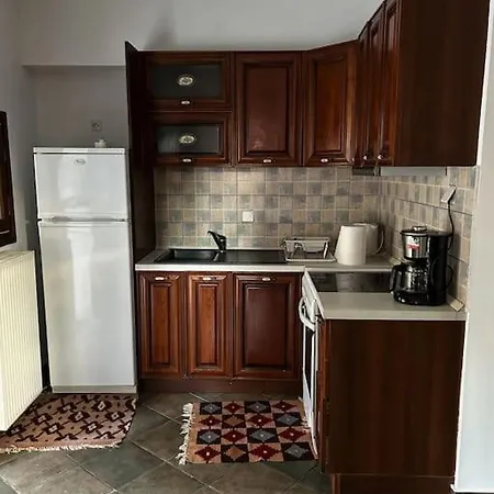 Pinelopi Apartments Arachova Extérieur photo