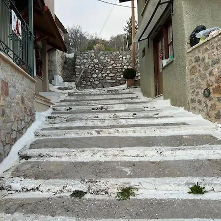Pinelopi Apartments Arachova Extérieur photo