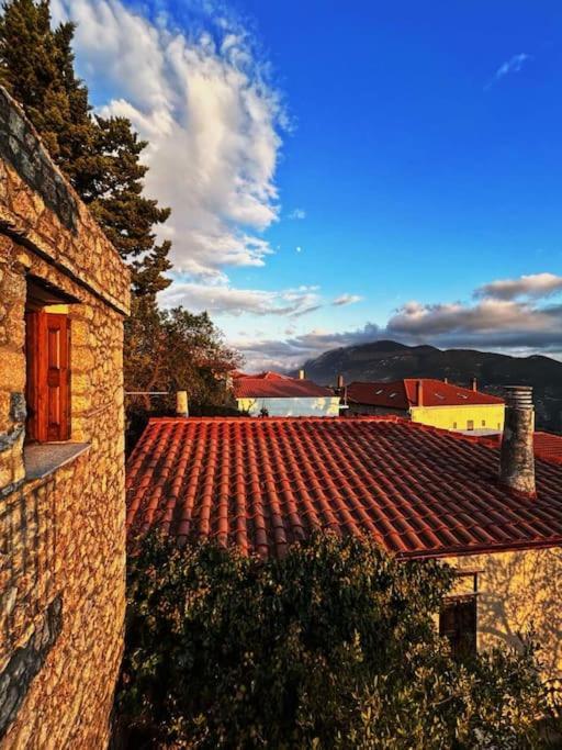 Pinelopi Appartement Arachova