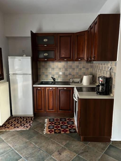 Pinelopi Appartement Arachova