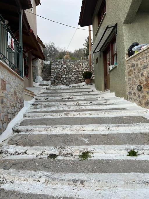 Appartement Pinelopi Arachova